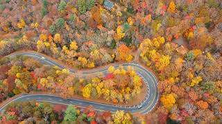 Aerial View of Peak Fall Foliage Northern Georgia [upl. by Lled]