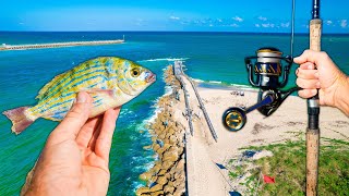 Florida Jetty Fishing Fish Cant Resist This Bait Catch Clean amp Cook [upl. by Marthe]