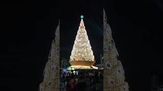 PINAKAMATAAS NA CHRISTMAS TREE SA PILIPINASplzsubscribemychannel plzdosuporrtmychanlfriends [upl. by Aneerbas669]