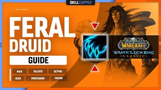 FERAL DRUID WOTLK GUIDE  Best Race Talents Glyphs Gear Professions amp Macros [upl. by Intyre145]