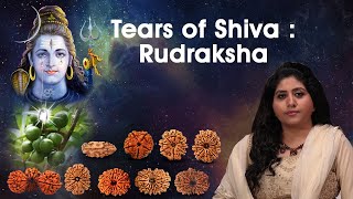 Everything About Rudraksha  Secrets amp Benefits Of Rudraksha 1  21 mukhi Gaurishankar Trijuti [upl. by Nairadas]