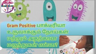 Gram Positive Bacteria and Its Treatment in tamil Drug of choice for Gram positive Bacteria [upl. by Amby]