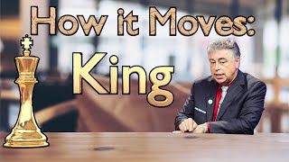 Chess Basics How it Moves King [upl. by Lorrin]