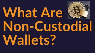 NonCustodial Wallet What Does It Really Mean [upl. by Atinram852]