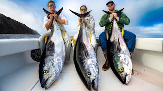 1000lbs of Most EXPENSIVE Tuna Catch Clean Cook Giant California Bluefin tuna [upl. by Oirevlis174]