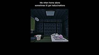 Me when Home alone meme [upl. by Ressay]