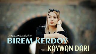 KAYWAN DARI  BIREM KERDOY Official Music Video  2024 [upl. by Enomsed]