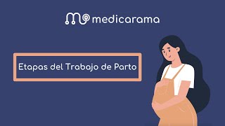 🤰🏼 Etapas del Trabajo de Parto [upl. by Harcourt]