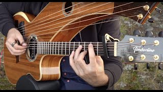 Killing Me Softly  Harp Guitar Cover [upl. by Ahseinet462]