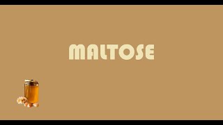 MALTOSE [upl. by Darwin348]