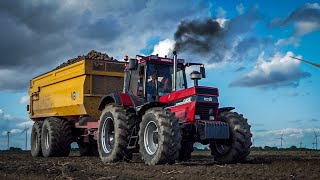 Potato Harvest  2X Dewulf RA3060  Case IH 1455XL amp Fendt  Mts van de Westeringh [upl. by Saddler]