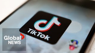 TikTok Can the US really ban the app [upl. by Portland]