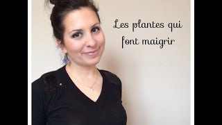 Les plantes qui font maigrir [upl. by Tildie]