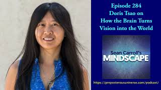 Mindscape 284  Doris Tsao on How the Brain Turns Vision Into the World [upl. by Tedd]