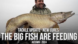 The Big Fish Are Feeding  Tackle Update  Autumn 2024 [upl. by Housum]