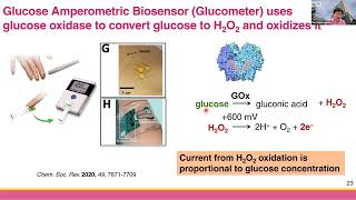 Ch 32c กลูโคสไบโอเซนเซอร์ Glucose Amperometric Biosensor [upl. by Murdoch843]