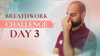 Day 3  Breathwork for Balance  Transformational Breathwork Challenge [upl. by Eiramrefinnej]