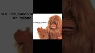 A ver Habla en italiano italianodazero meme funnyvideo funny [upl. by Lubow]