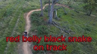 a beginners walk through the new smiles for miles at wylde MTB park with my DJI drone [upl. by Niamor251]