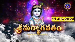 శ్రీమద్భాగవతం  Srimad Bhagavatham  Kuppa Viswanadha Sarma  Tirumala  11052024  SVBC TTD [upl. by Anyd]