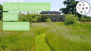 Wildflower meadow management [upl. by Ginger]