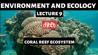 Coral Reef Ecosystem Explained  UPSC Preparation  Types Importance and Conservation Efforts [upl. by Maroney569]