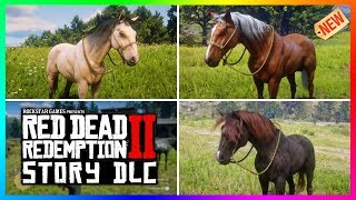 Red Dead Redemption 2 Story Mode DLC Content  How To Find The 3 NEW Wild Horse Variations RDR2 [upl. by Esenwahs]