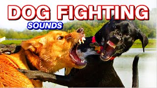 Dogs fighting sounds [upl. by Feilak]