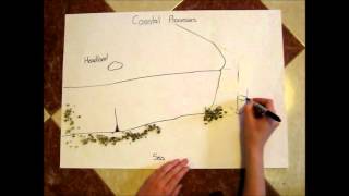 Coastal Processes iGCSE Geography by Gwennyth and Feline [upl. by Etnahc]