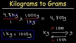 How To Convert Kilograms to Grams and Grams to Kilograms [upl. by Enitsuga939]