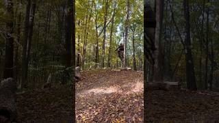 Riding trails at letchworth mtb fall￼ [upl. by Wedurn]