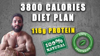 3800 CALORIES PURE VEG HARDGAINER BULKING PLAN  GAIN 12 KGS in 3 MONTHS  116g Natural Protein [upl. by Akitahs]