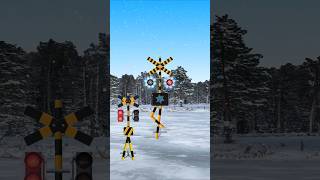 Railroad Crossing Walk on Ice 🚦😜 Shorts railroadcrossing 🚦😜 youtubeshorts [upl. by Aimal]