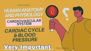 Cardiovascular System  Part3 Cardiac Cycle amp Blood Pressure  Human Anatomy and Physiology [upl. by Barbour903]