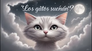 ¿Los Gatos Sueñan El Misterio Detrás del Sueño Felino [upl. by Anirhtak]