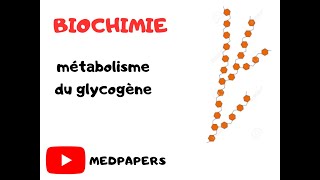 métabolisme du glycogène [upl. by Anirrok]