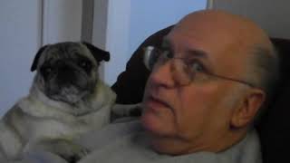 December 9 and 10 2012  dad talking to his pug bunky or baby [upl. by Yam92]