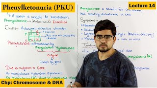 PhenylKetonuria PKU  A Genetic Disorder  Lecture 14 [upl. by Sergio]