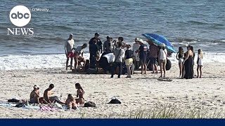 4 suspected shark attacks in 2 days along New York beaches l GMA [upl. by Squire]