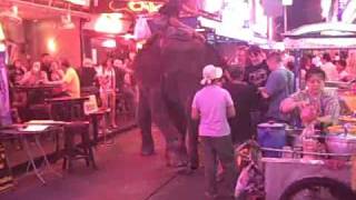 Elephant Feeding Soi Cowboy Bangkok February 2009 [upl. by Aglo]