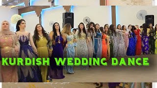 Kurdish Wedding Dance â”ƒKurdish Danceâ”ƒØ±Ù‚Øµ Ú©Ø±Ø¯ÛŒ â”ƒKurdish Music [upl. by Danzig193]