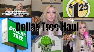 Dollar Tree Haul 🌳 [upl. by Peony314]