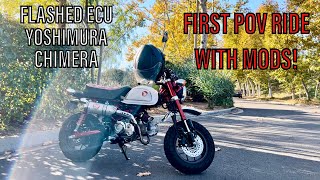 FIRST HONDA MONKEY POV RIDE WITH MODS [upl. by Stallworth]