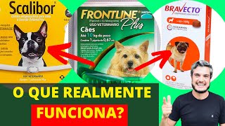 FATO REMÉDIO PARA CARRAPATO EM CACHORRO  Controle de parasitas em cães [upl. by Amando690]