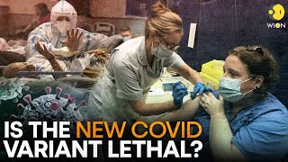 What you need to know about the new dominant COVID19 HV1 variant  WION Originals [upl. by Allak]