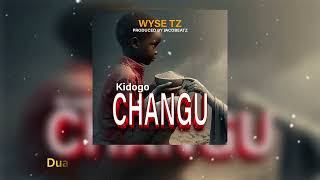 Wyse  KIDOGO CHANGU AUDIO LYRICS [upl. by Esinert]