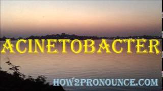 How To Pronounce ACINETOBACTER [upl. by Amitie]