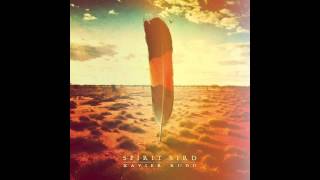 Xavier Rudd  Spirit Bird audio HQ [upl. by Kciredec]