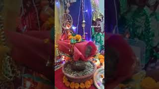 Maa Tera Darbaar Sajaya 🙏🙏youtubeshorts songviral2024 song navratrispecial [upl. by Blithe]