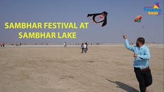 Kite Flying and Enjoying Sambhar festival at Sambhar Lake Jaipur [upl. by Cicenia]